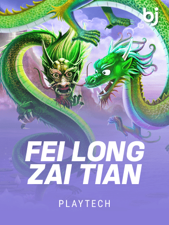ফেই লং জাই তিয়ান game icon